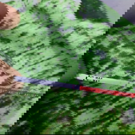 Bun, saya mau tanya kalau kaya gitu hamil ga ya? Soalnya saya sudah telatbulan ini belum haid .