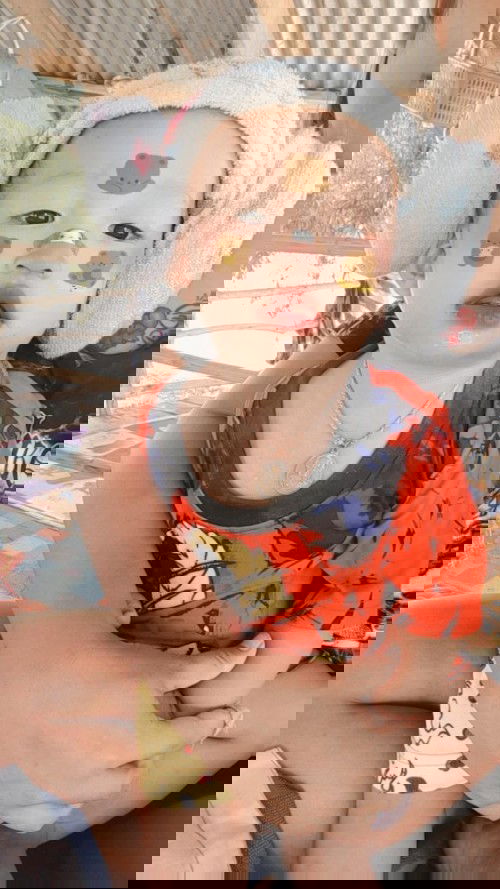 เรื่องนมลูก