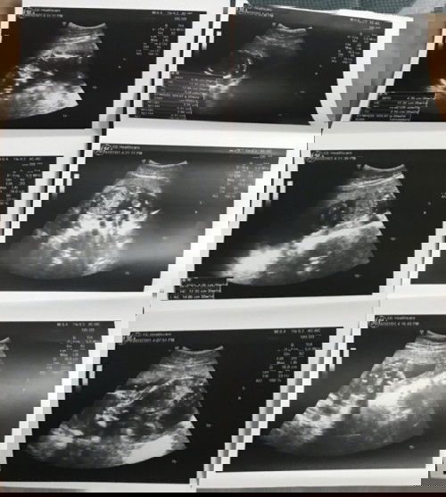 ขอถามหน่อยค่ะ