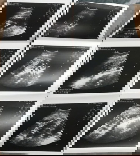 ขอถามหน่อยค่ะ