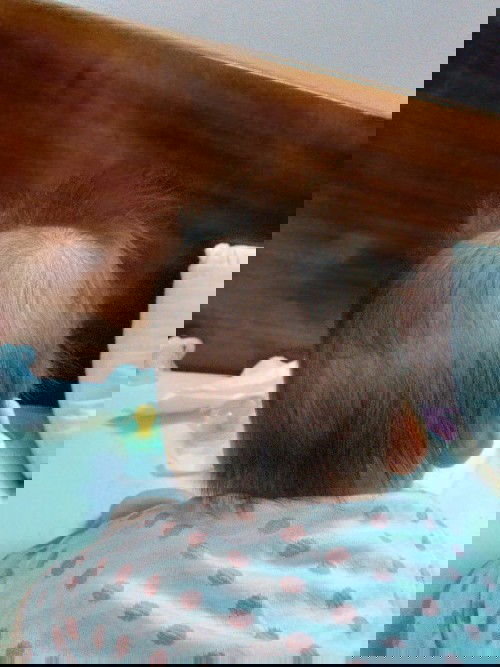 Bé 3 tháng rụng tóc