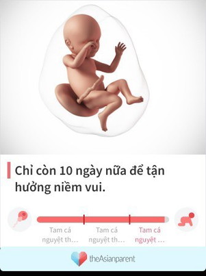 Cảm ơn cô chú đã giúp e có thai kỳ khỏe mạnh. Vài ngày nữa thôi đc gặp con r. Xin vía mau lẹ ạ. 🥰