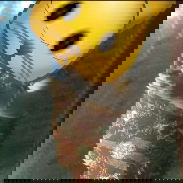 6 bulan perut masih blm keliatan