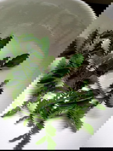 Chào cả nhà, em sinh bé từ 12.2020 đến nay bé được 7 tháng tuổi, đến nay em đã uống đc cf chưa ạ ??