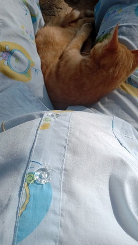 Perut kecil