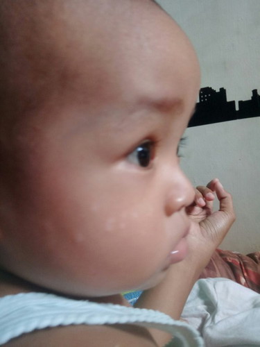 putih putih