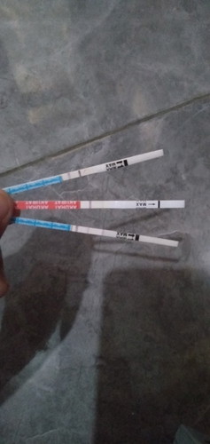 Kalo garis gini positif hamil ya bund