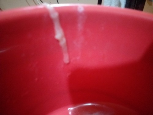 Discharge or mucus?