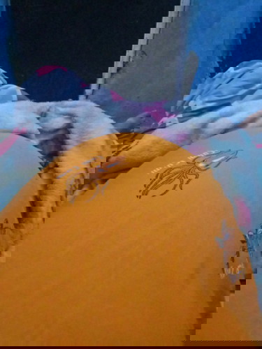 Bund mau tanya kalo di 6bulan emang suka pipis trus