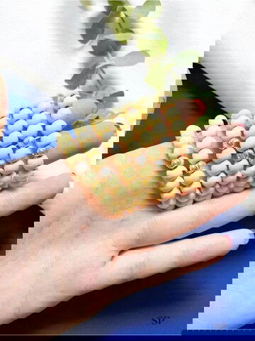 Mừng nghé tròn 2 tháng tuổi