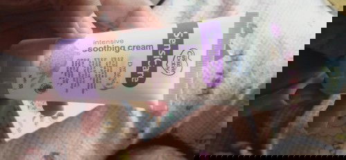 Biang keringat beruntusan