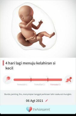 Menunggu gelombang cinta Dedek Bayi