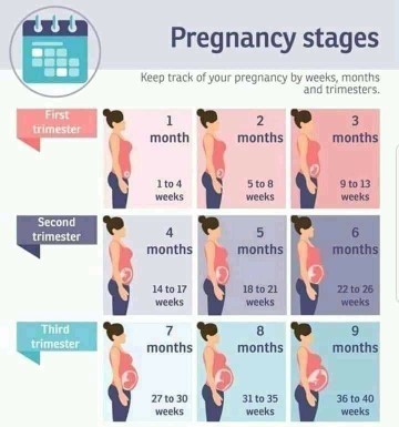 Ilang months na pinag bubuntis niyo mga mommies?