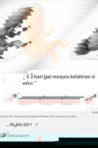 Masih belum ada tanda2😢