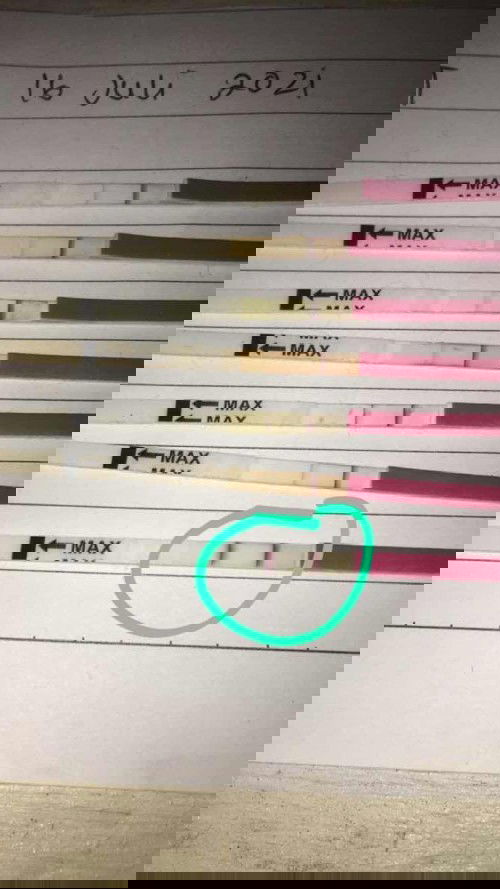 LH test (ovulasi test)