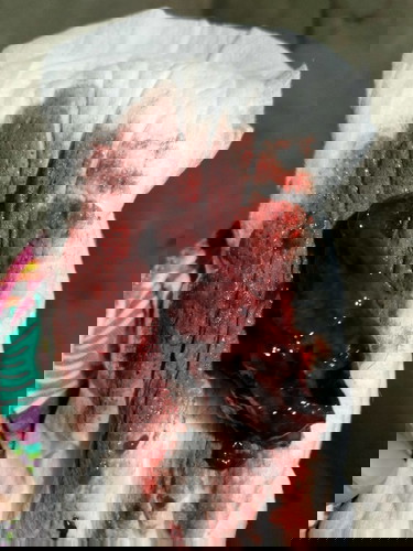 Sana po may makasagot asap po thank you so much🥺