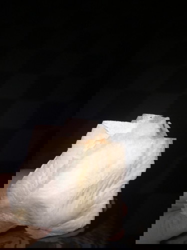 มูกเลือดหรือป่าว