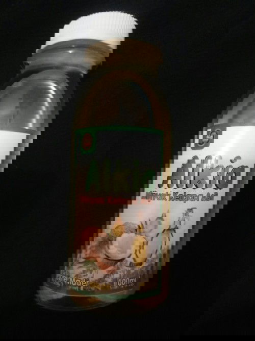 Jual minyak kelapa home made