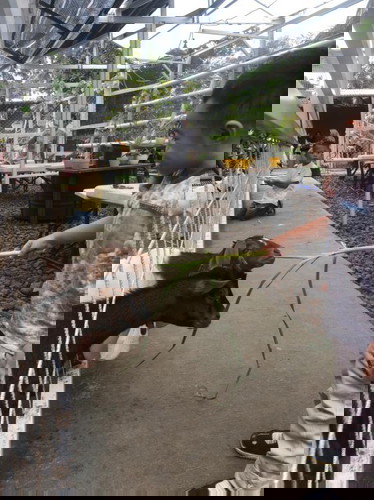 Setelah Pandemi Berakhir โจ