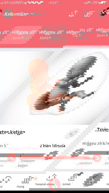 Belum merasakan gelombang cinta