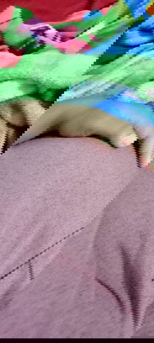 Kedutan 10minggu memang sudah waktunya atau belum ya