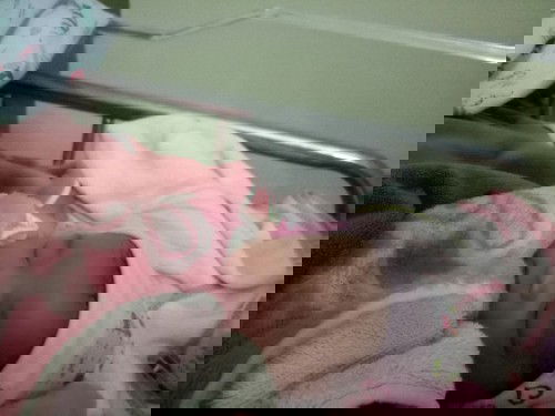 คลอดแล้วจร้า