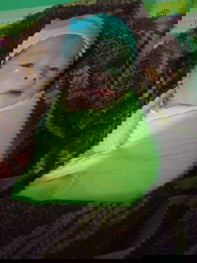 Lahir lebih cepat dari hpl