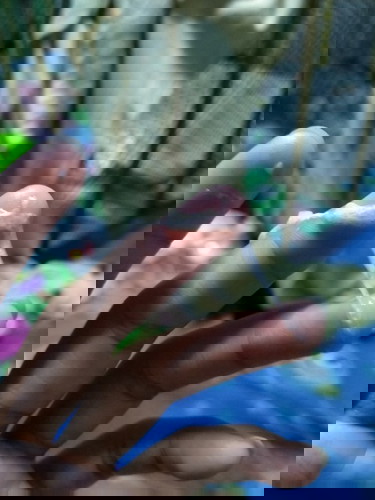 แหวะนมหรือเสลด