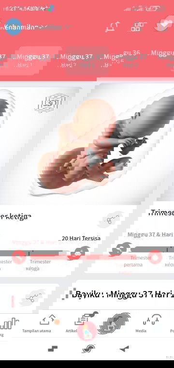 Konpal calon baby twiin