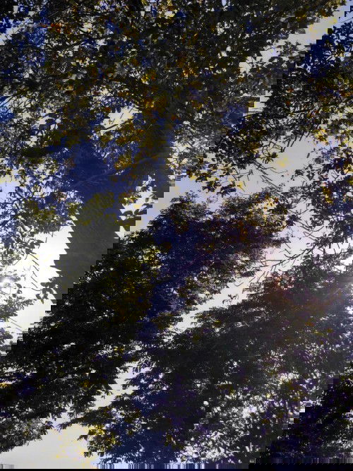 Harapan baru setelah pandemi berakhir