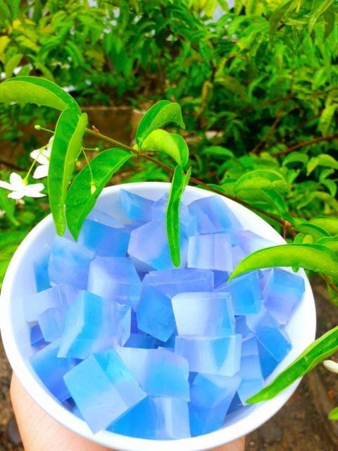 Rau câu hoa đậu biếc