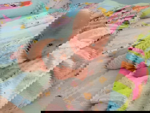 ทีมพฤษภาคม