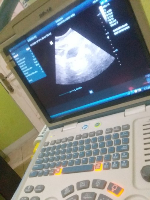 Mau nanya ?