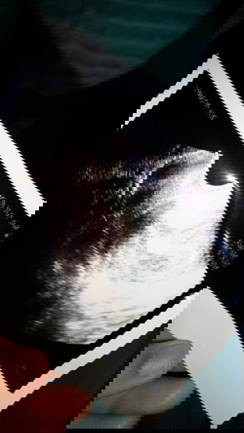 minta solusi nya ya bunda 🙏