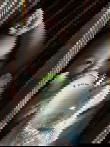 น้องไอไม่หาย ไอแล้วเหมือนมีเสมหะด้วย