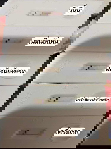 ตรวจครรภ์ ชัวร์ไมค่ะ
