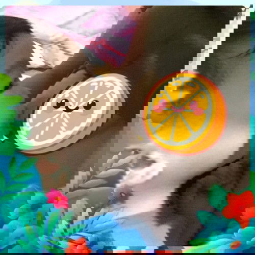 #D3 - Mừng ngày quốc tế mẹ cho bé ti 🍼🍼