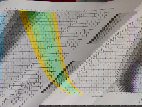 bb bayi besar dari usianya