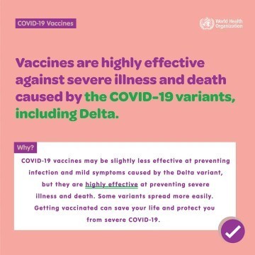 Yes Vaccine works