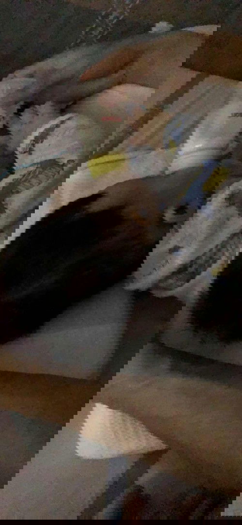 Quốc tế mẹ cho bé ti #D5