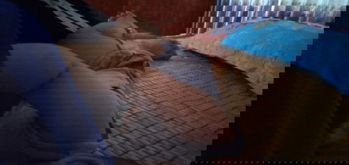 D5 gác chân lên mẹ