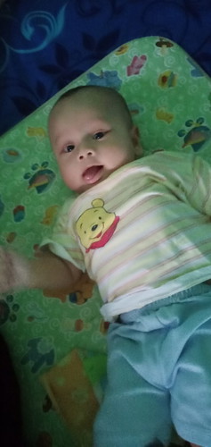 Mpasi bayi pas 6 bulan itu apa yg cocok