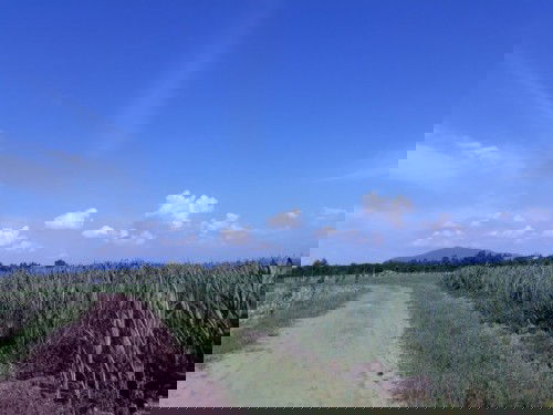 KHÔNG KHÍ GIÁ BAO NHIÊU ???