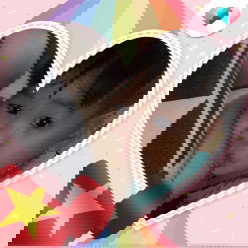 #D5 - mừng ngày quốc tế mẹ cho bé ti 🎊🎉