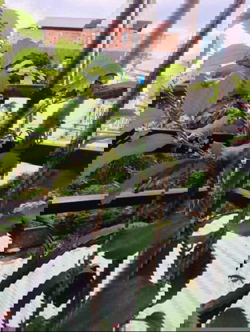 #D6 Cây táo nở hoa thay lời cảm ơn các mẹ các cô dì chú bác đã vote cho con 😘