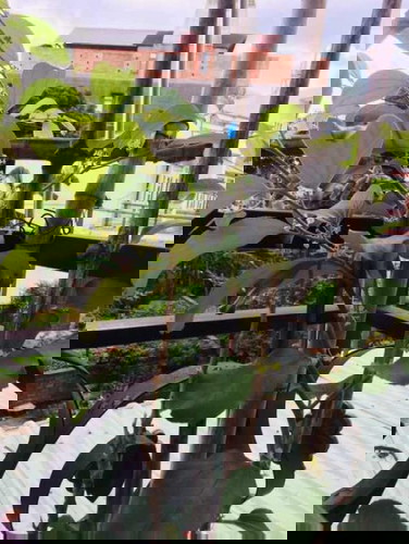 #D6 Cây táo nở hoa thay lời cảm ơn các mẹ các cô dì chú bác đã vote cho con 😘