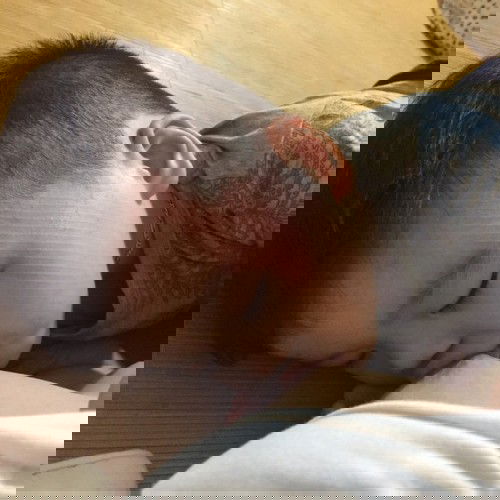 #D6 
Ngày cuối xin mọi người 1 cmt "VOTE" vào bài viết #D2 với nhé 
Chân thành cảm ơn mn nhiều! 🤝❤️