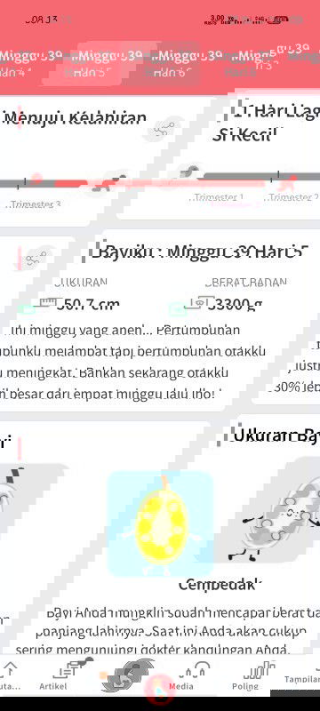 BELUM ADA TANDA MELAHIRKAN