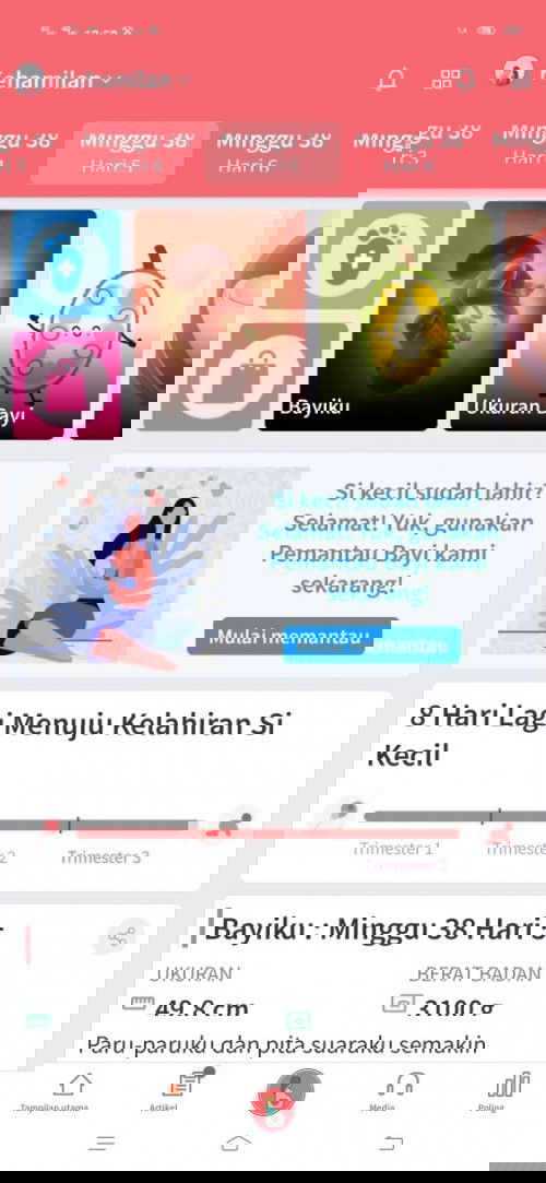 menunggu hitungan hari