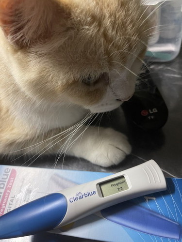 ada tak pengalamam, upt +ve, rahim tebal, scan x nampak kantung 6w4d, tapi ada bleeding & spotting..